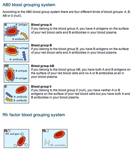 rh o negative blood type