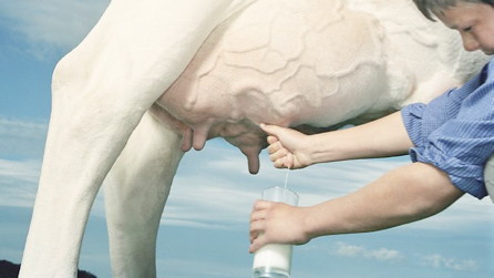 women milking the prostate